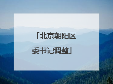 北京朝阳区委书记调整